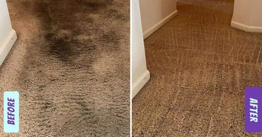 Carpet Before and After