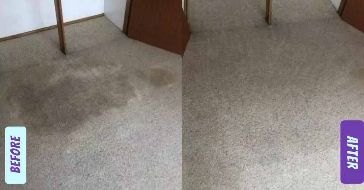 Carpet Cleaning Before and After