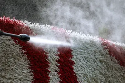 Carpet Odour Removal Treatment