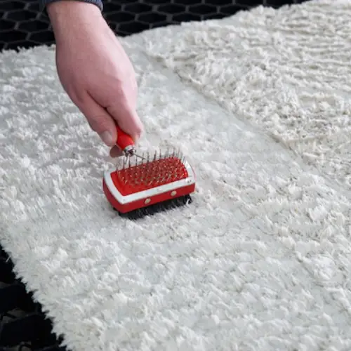 Rug Cleaning